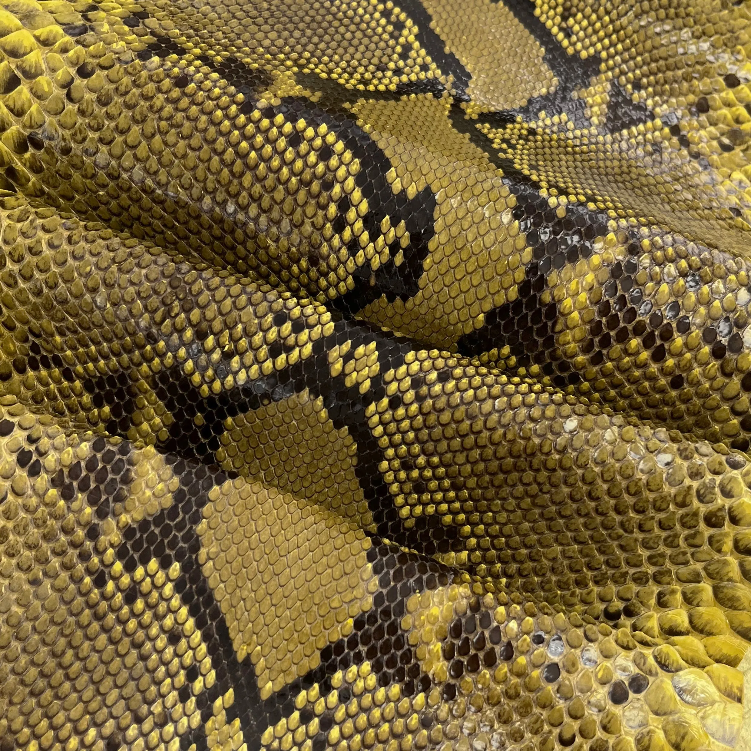 Python Glazed | Yellow Pattern | Long Tail Front Cut