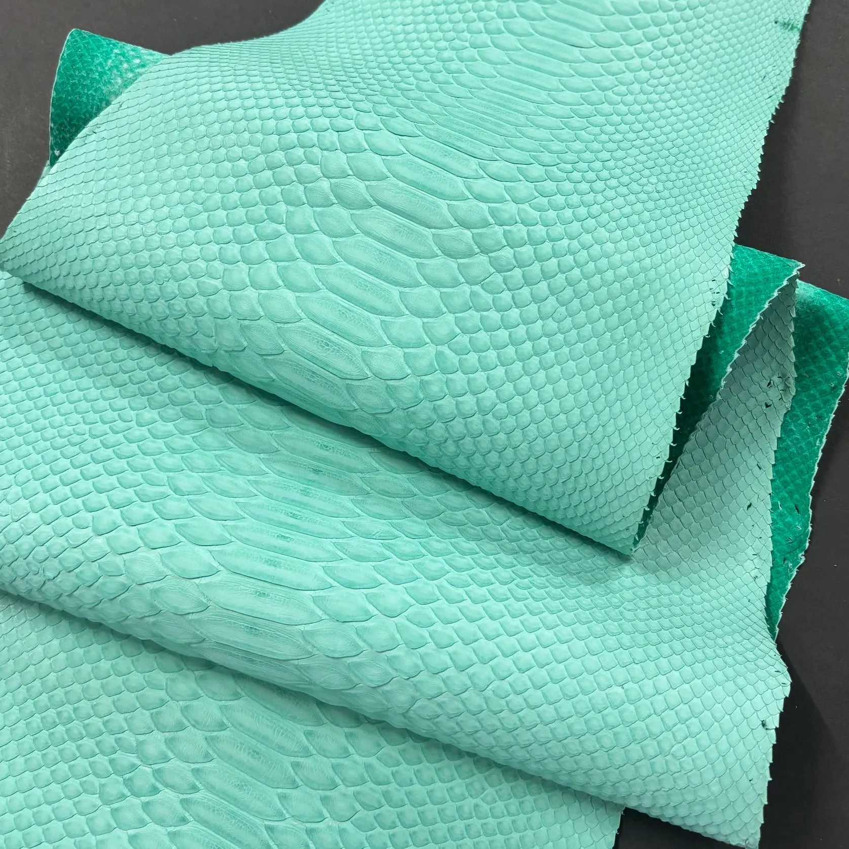 Python Matte | Mint | Short Tail Back Cut