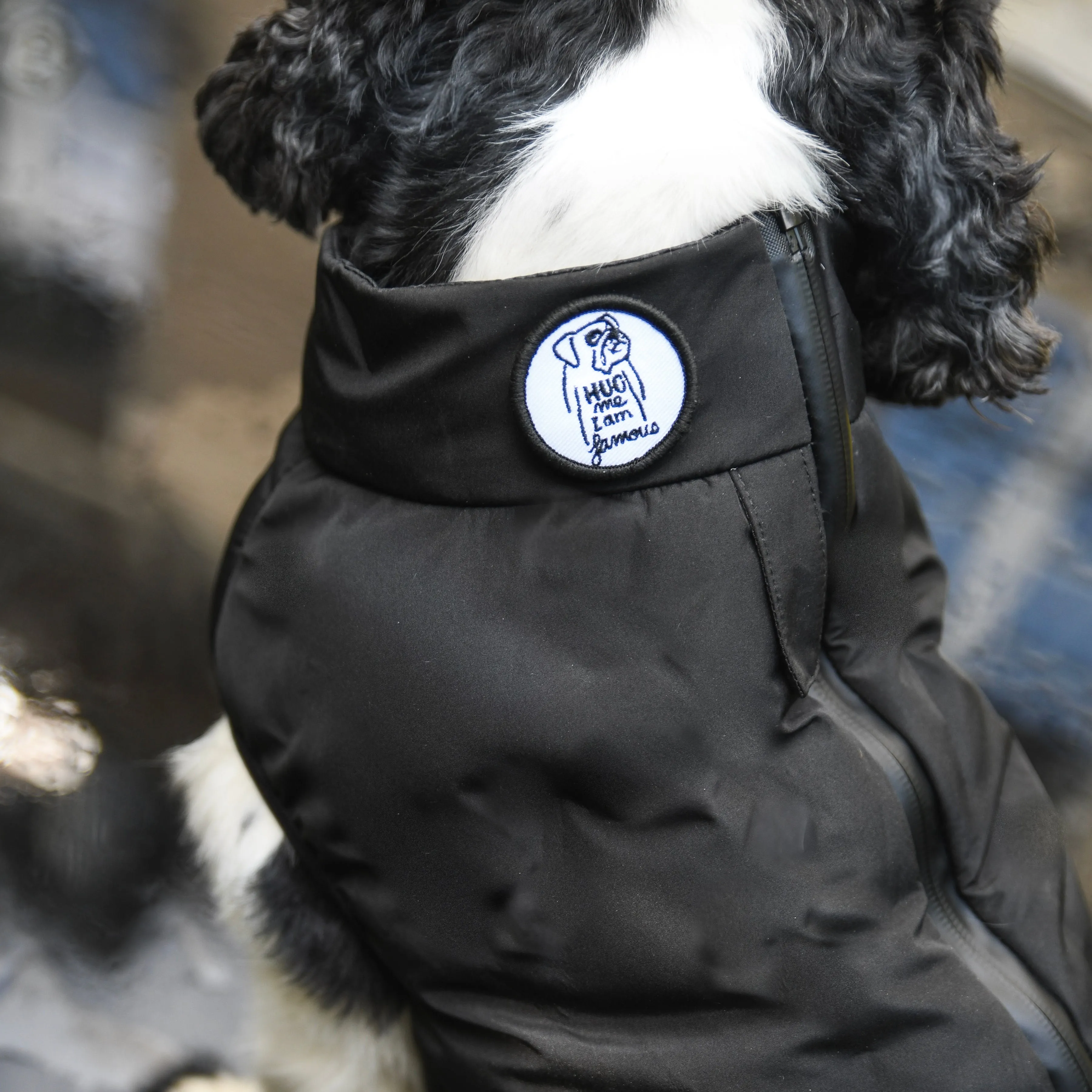 "Warm so chic" dog winter jacket - Black