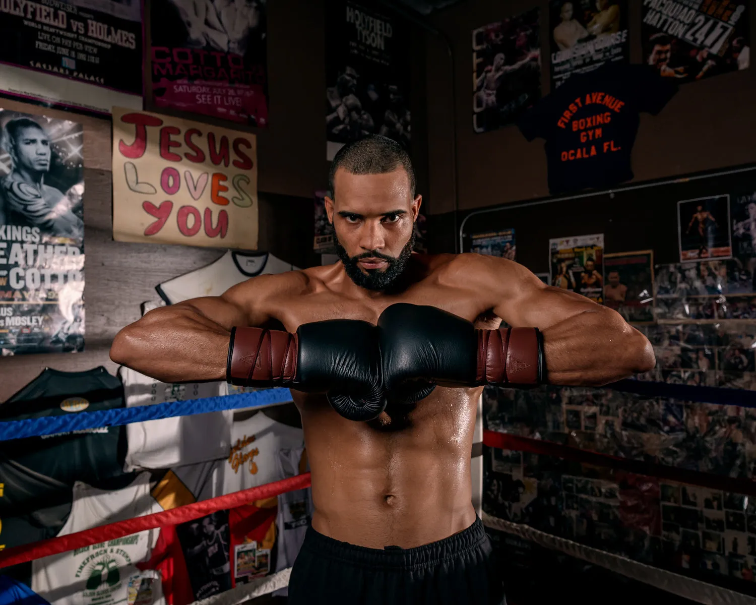 TITLE Boxing Honorary Sparring Gloves