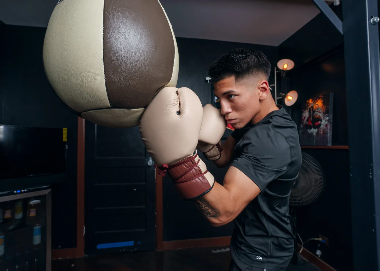 TITLE Boxing Honorary Sparring Gloves